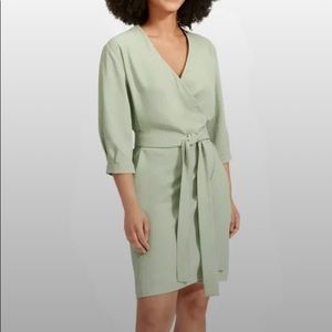 Everlane goweave long sleeve mini wrap dress